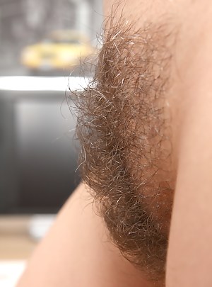 Free Hairy Pussy Porn Pictures